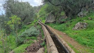 2024-01-GranCan-Barranco_de_los_Cernicalos-020.jpg